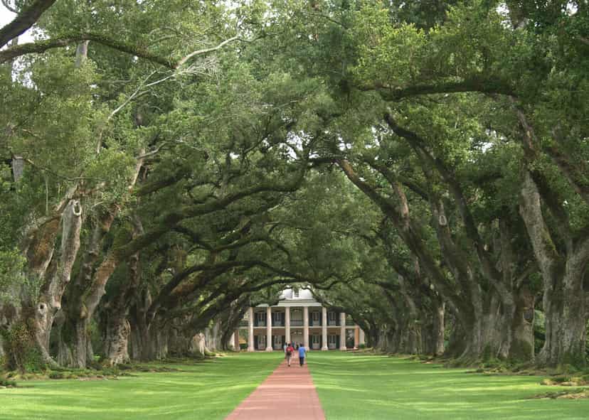 View of the antebellum Oak Alley Plantation house framed by 300-year-old oak trees
